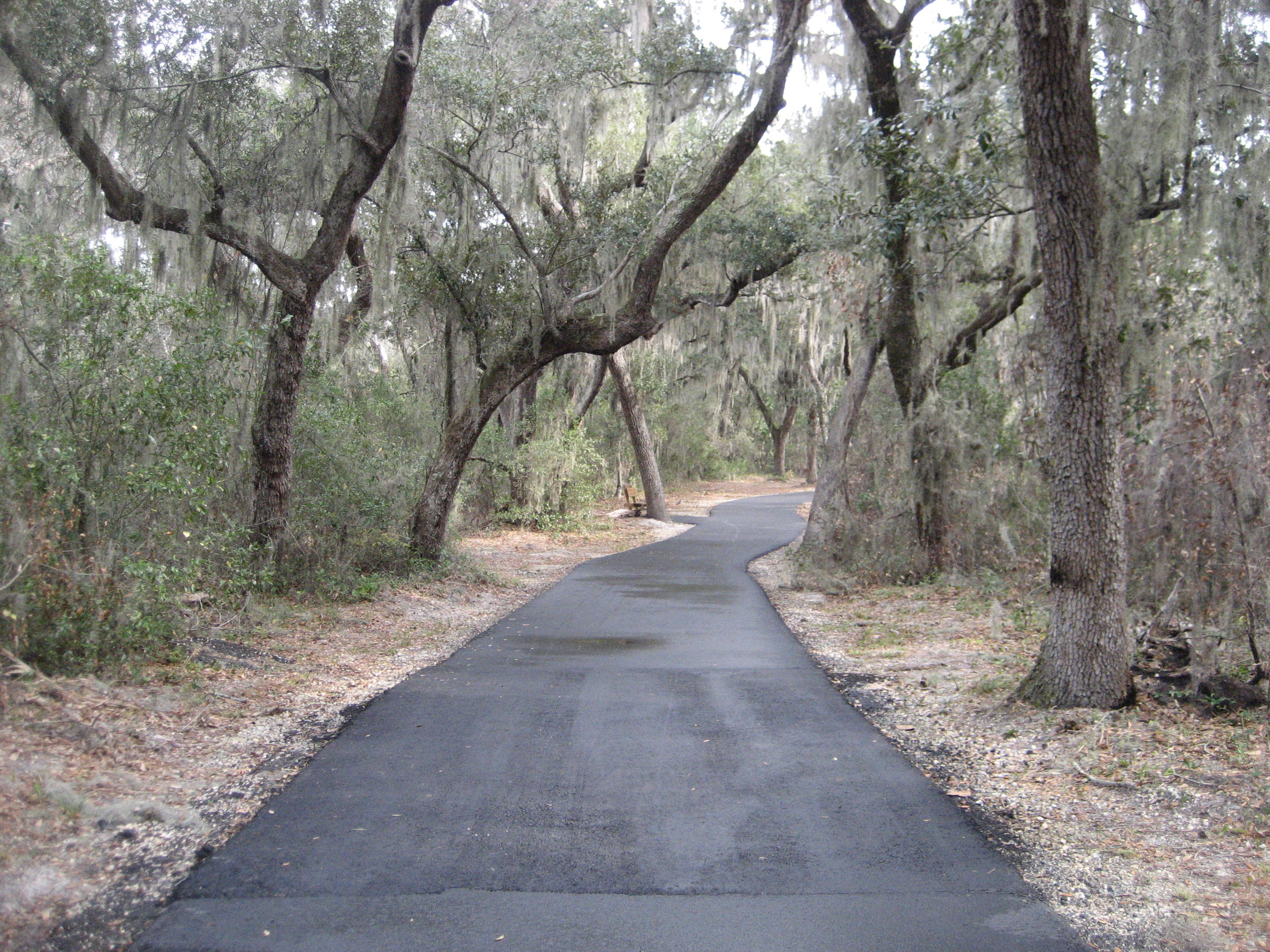 Backcountry Trail Orange Beach