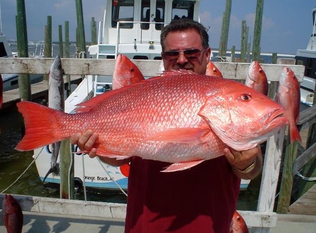 Red fish Gulf Shores
