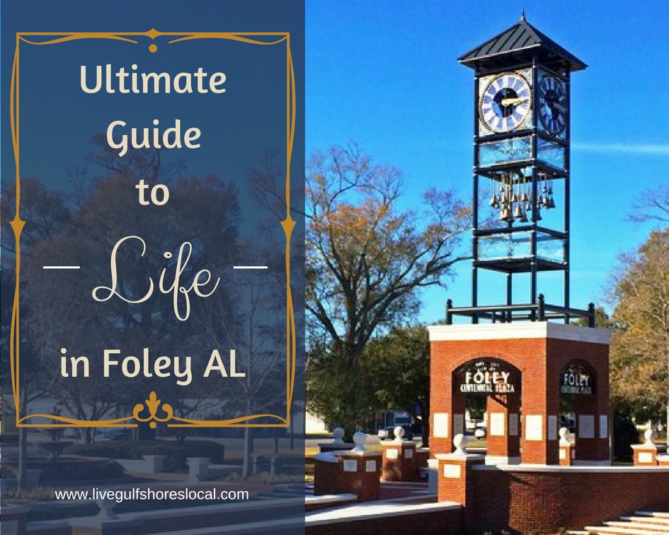 Ultimate Guide to Life in Foley