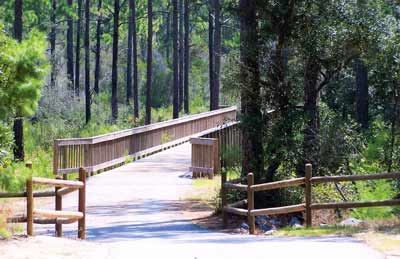 Orange Beach Backcountry Trail