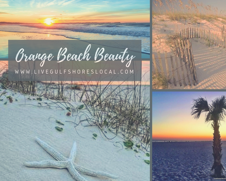 Orange Beach Beauty