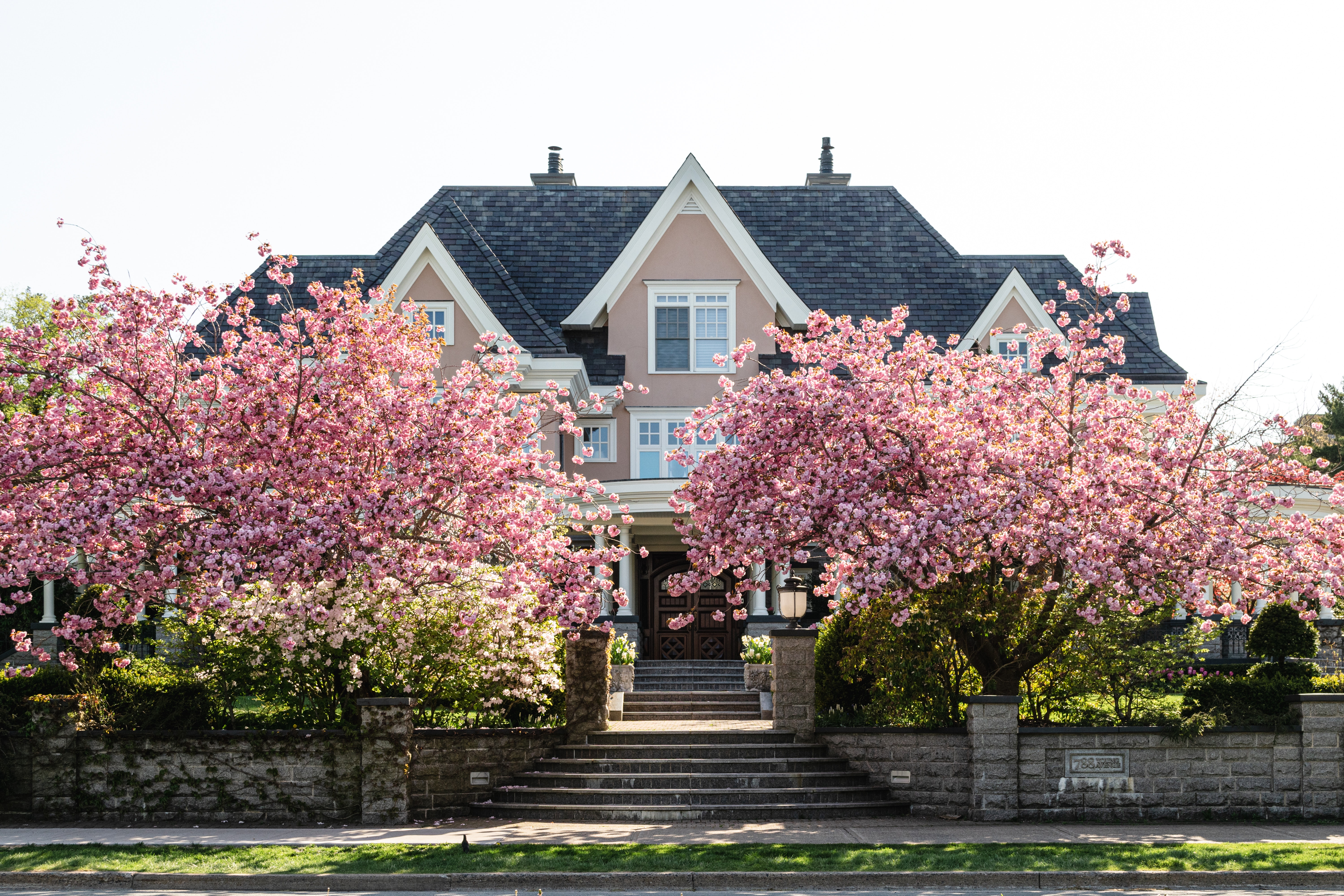 Boost Your Home’s Curb Appeal with Expert Guidance