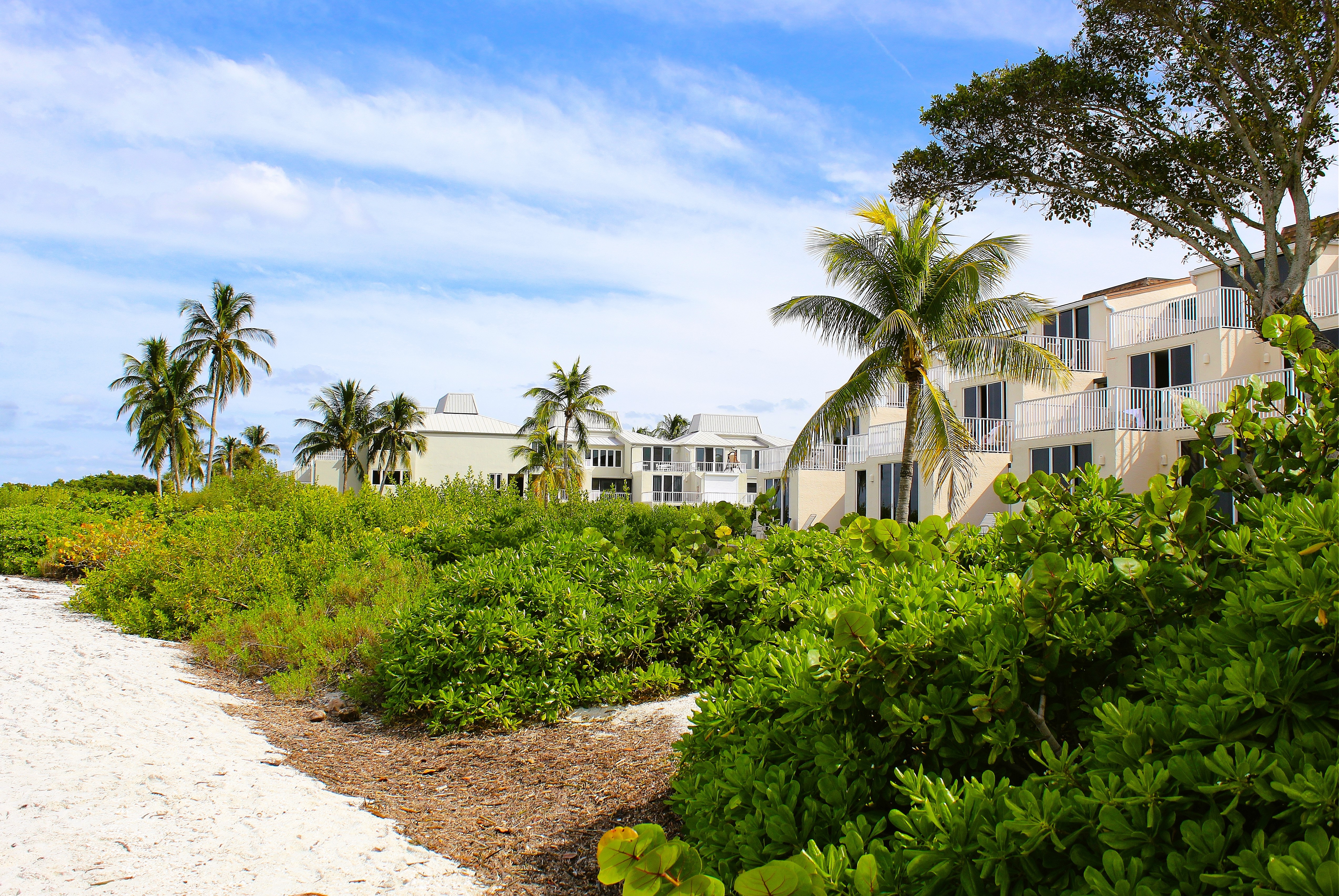 Navigating Today's Housing Market: The Indispensable Role of a True Expert