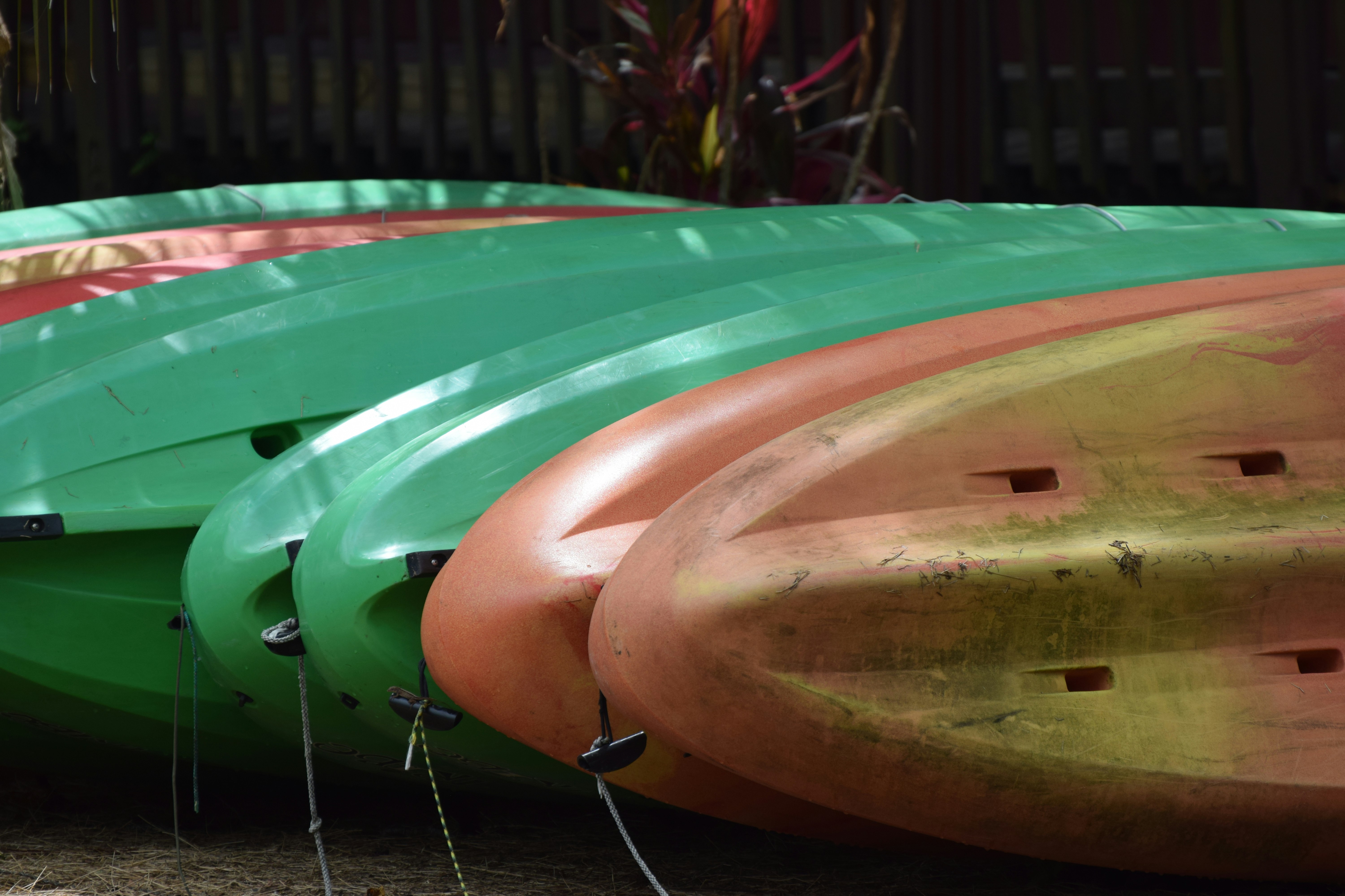 Sunshine State Escape: The Ultimate Florida Staycation Guide