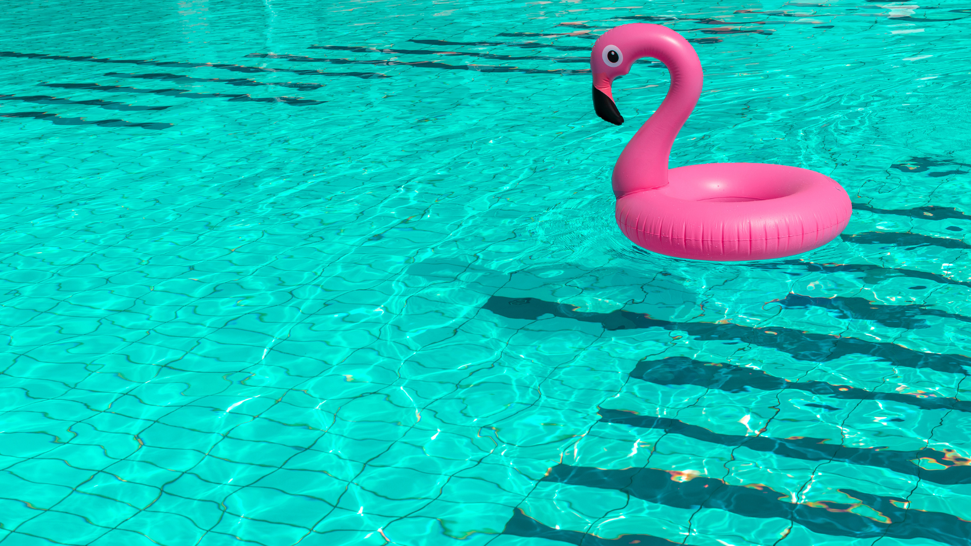 Maintaining Pool Water Chemistry: A Guide for Florida Homeowners