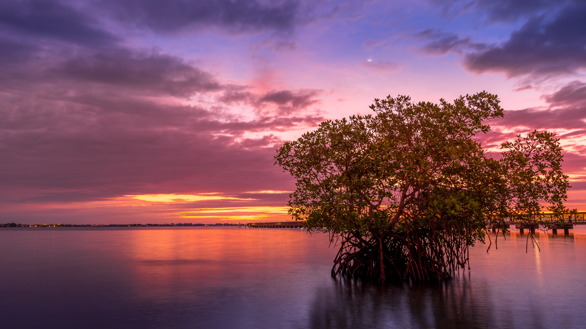 Jensen Beach's Bohemian Vibe: How It's Attracting a New Wave of Buyers