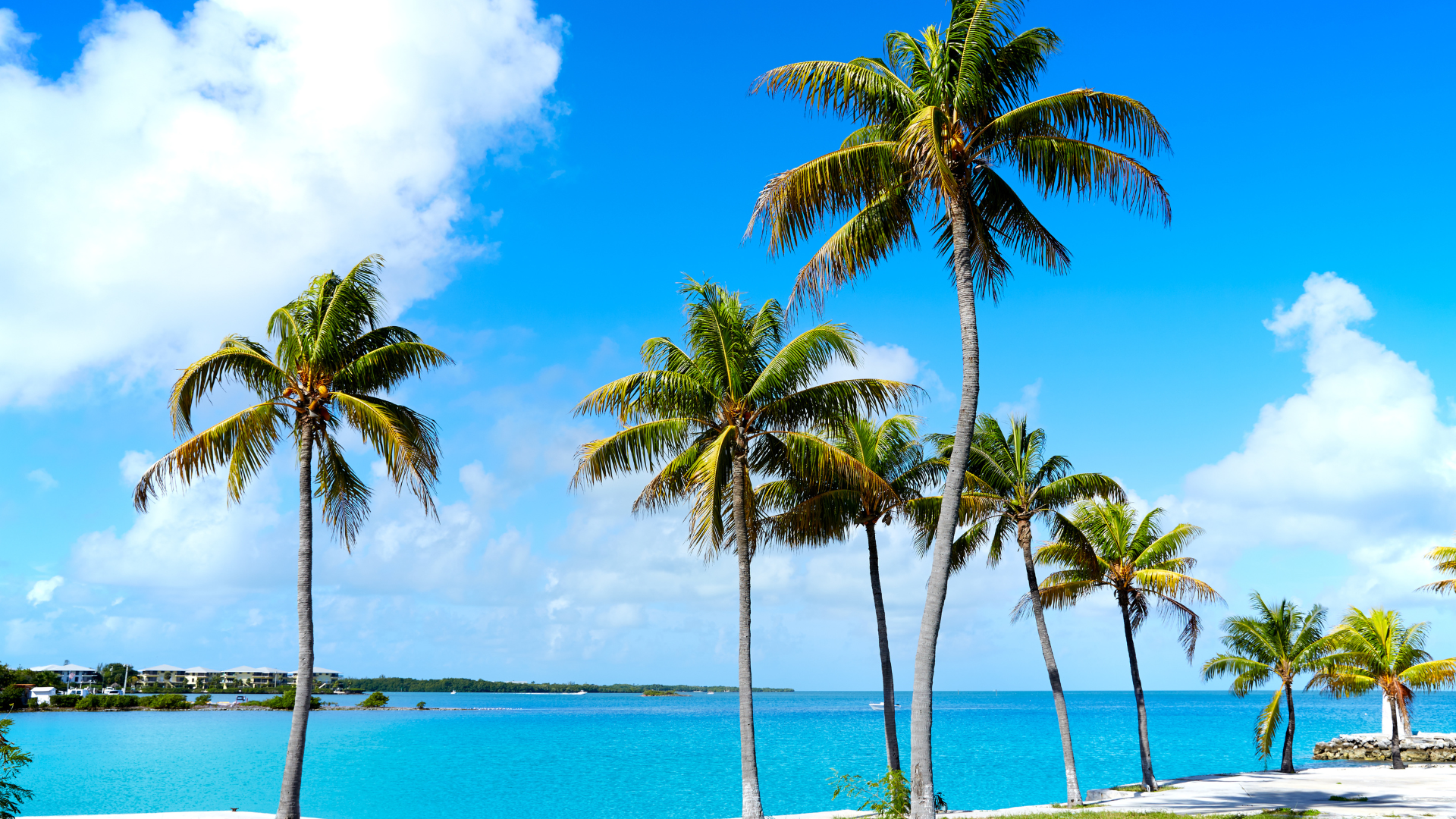 Palm City's Progressive Spirit: Shaping the Future of Real Estate on the Treasure Coast