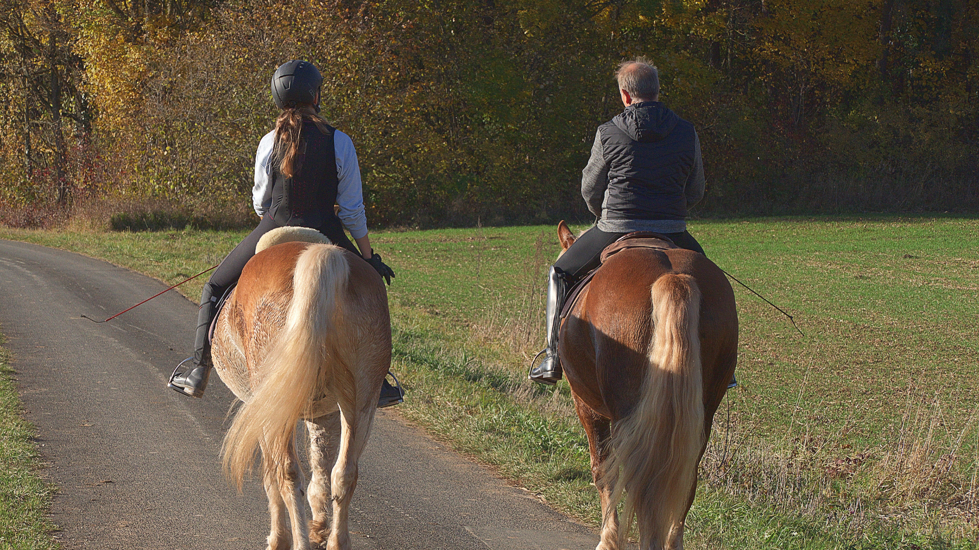 Hobe Sound's Equestrian Appeal: How Horse Lovers are Driving the Real Estate Market