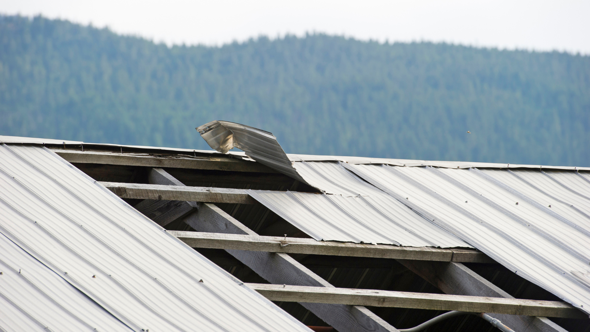 Wind Mitigation Credits: Lowering Your Insurance Costs When Buying a Treasure Coast Home