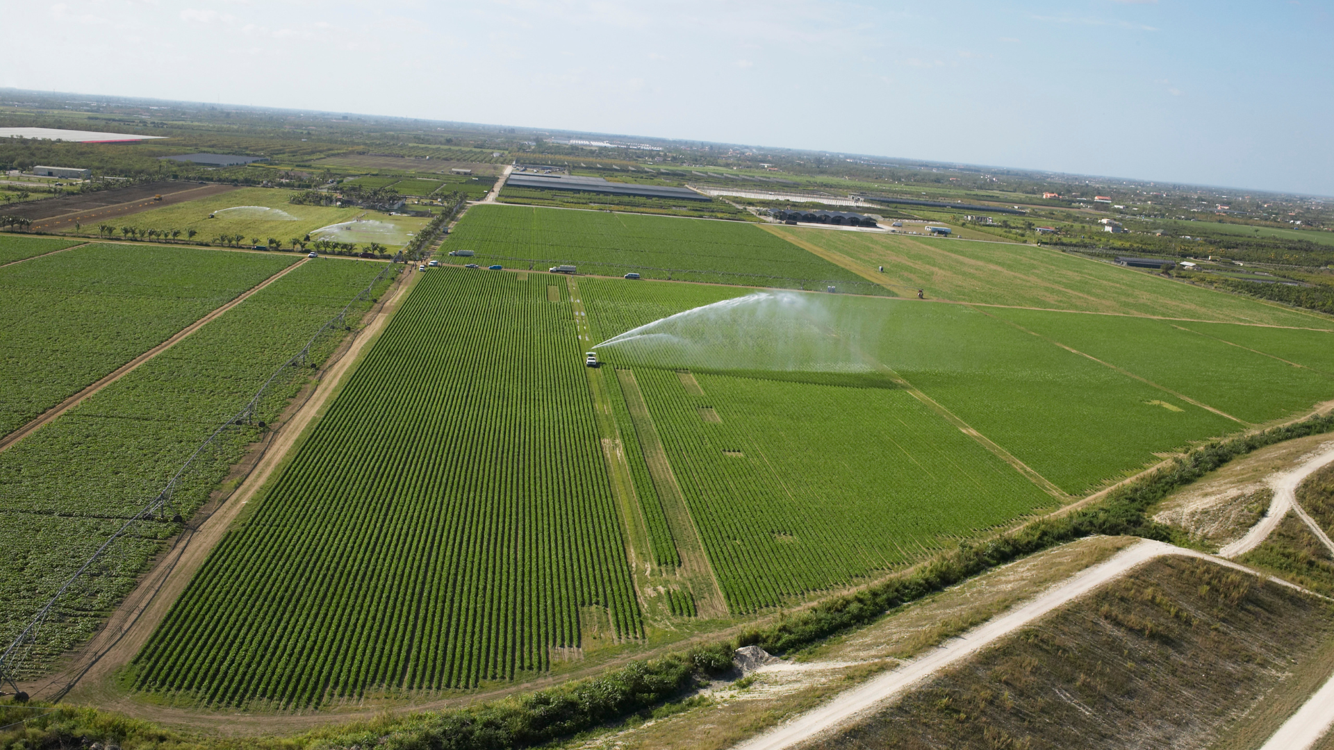 Florida Homestead Exemption: Understanding Your Rights and Filing Deadlines in the Treasure Coast