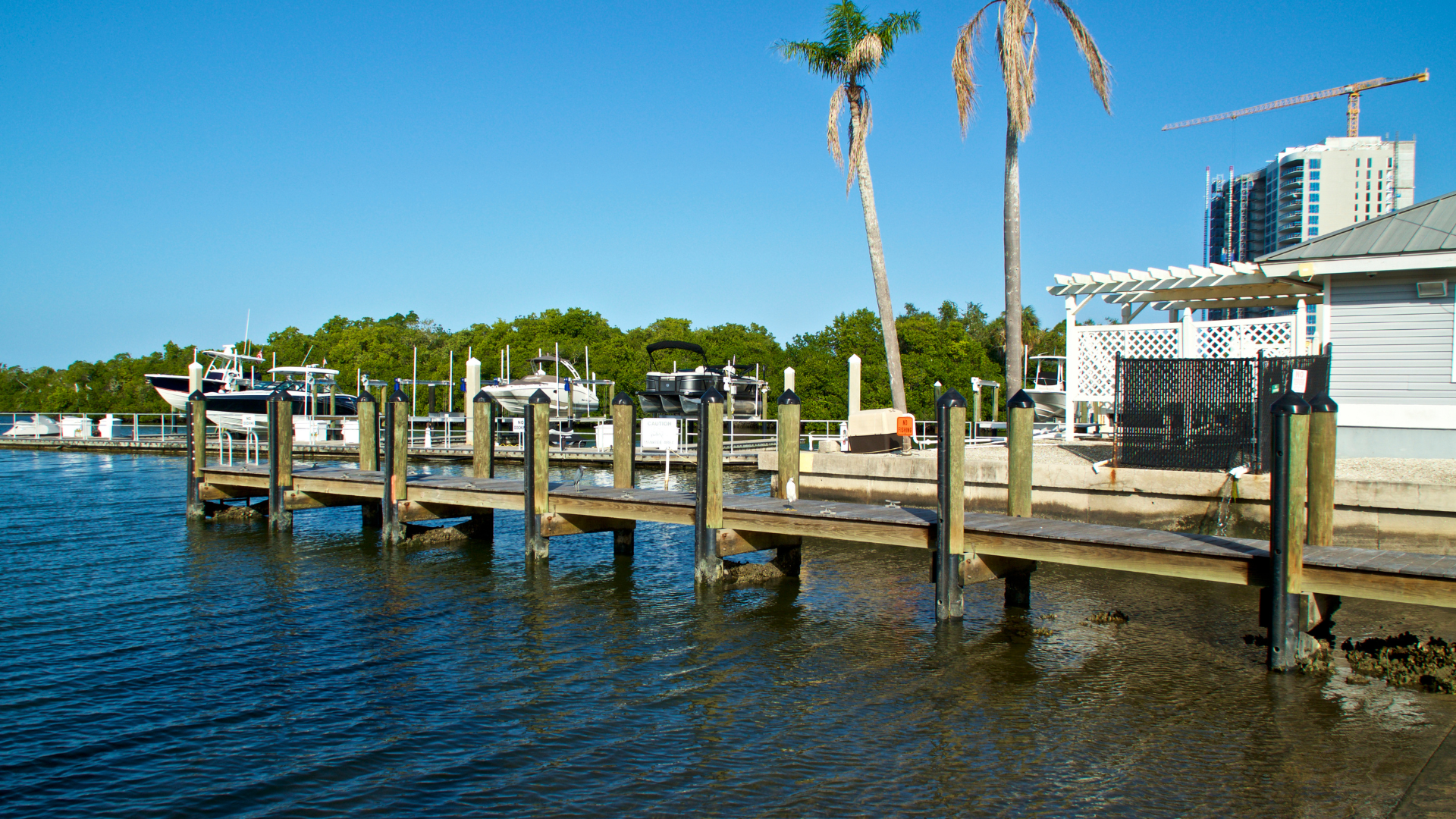 Dock and Seawall Maintenance: Protecting Your Waterfront Investment Along the Intracoastal Waterway