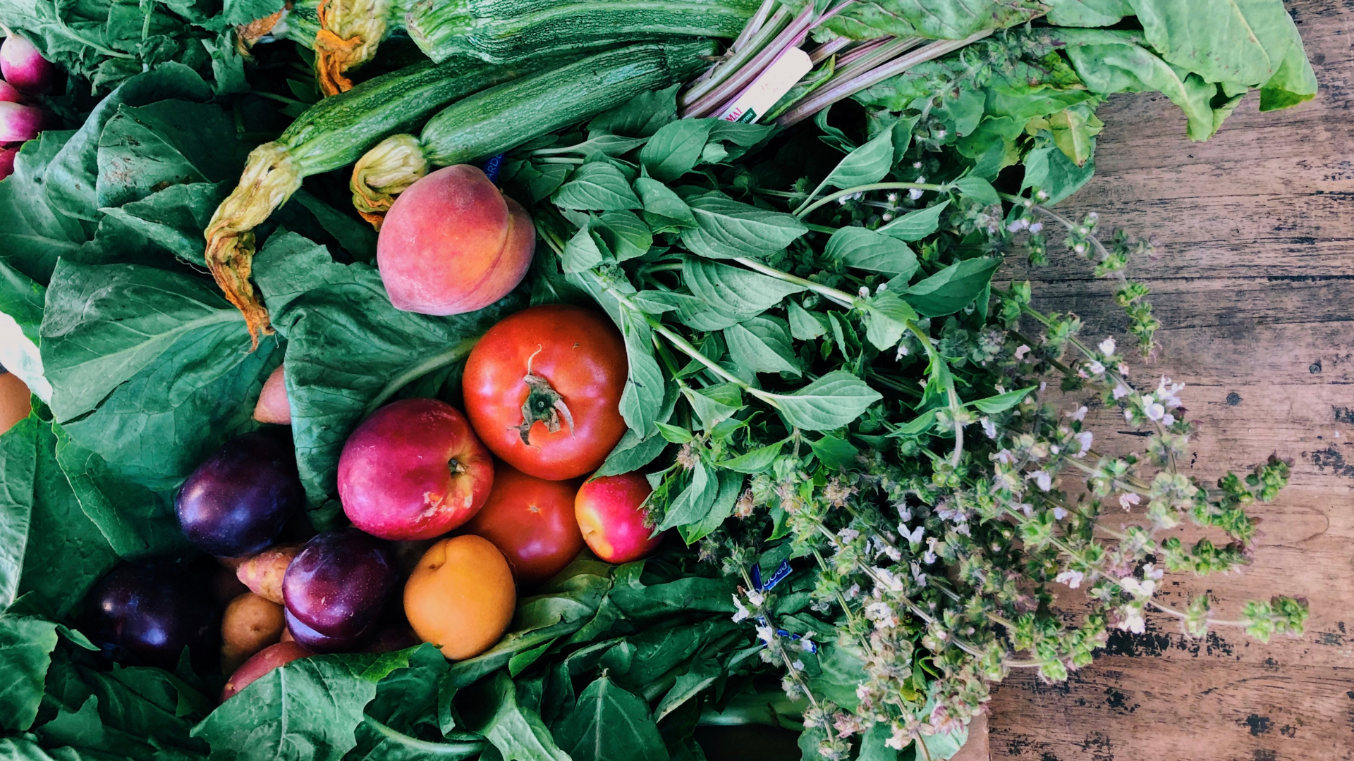 From Our Fields to Your Table: Savoring the Treasure Coast's Local Bounty