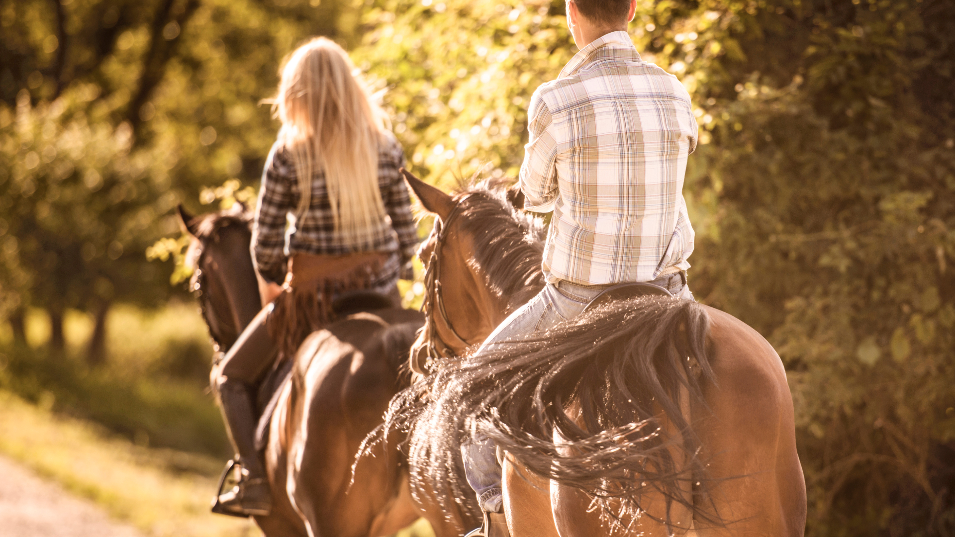 Horseback Riding on the Beach? Only on the Treasure Coast: Your Guide to This Unique Coastal Experience