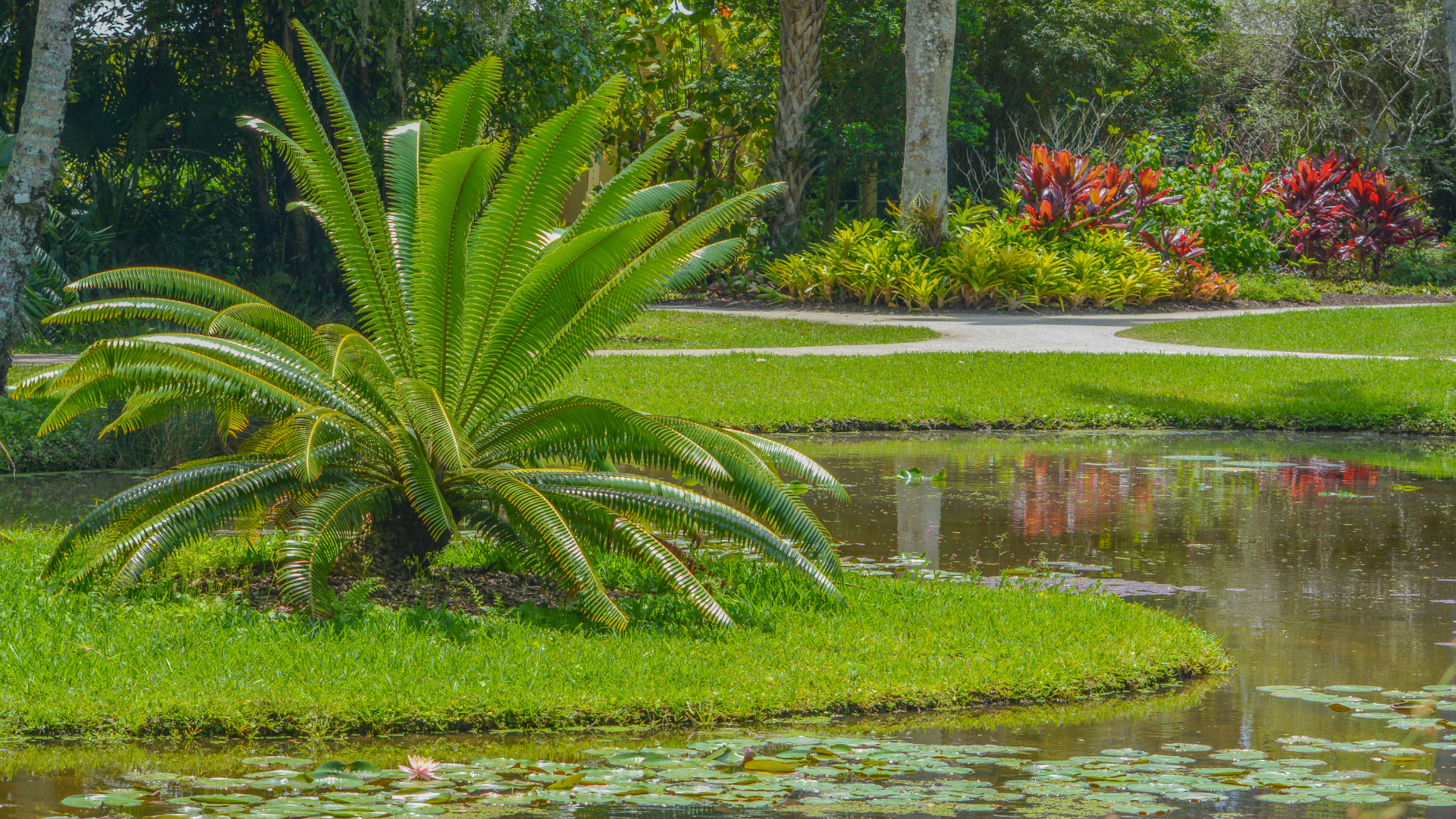 The Secret Gardens of Vero Beach: Exploring Hidden Botanical Wonders Beyond the Beach