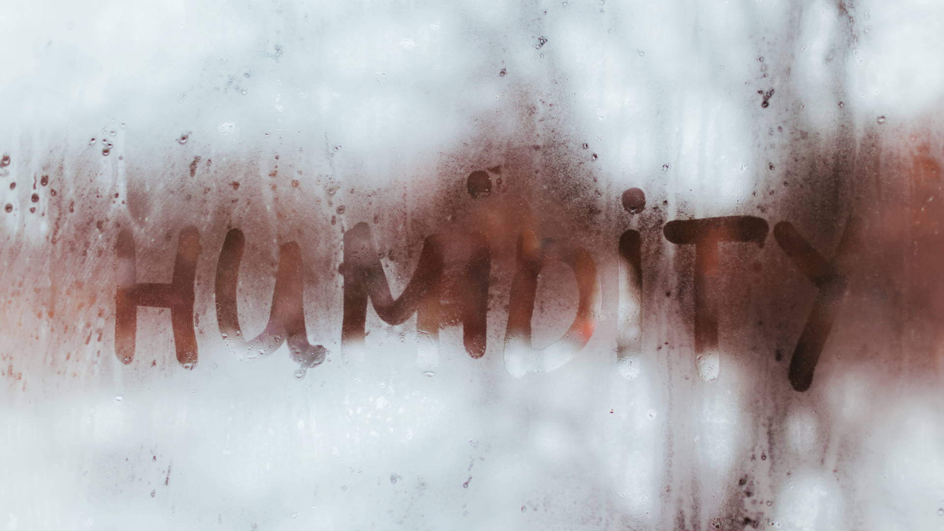 Your DIY Guide to a Humidity-Free Home