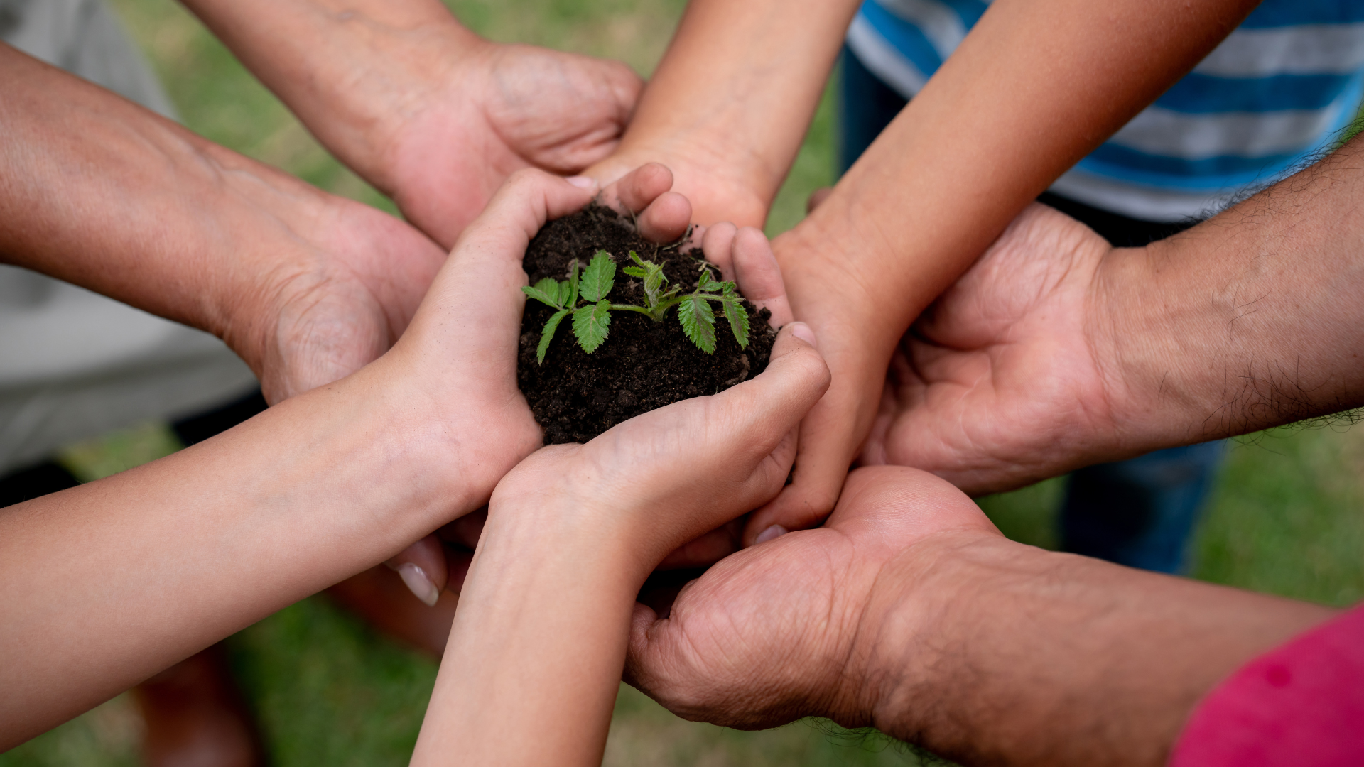 A Community That Cares: The Unseen Perks of Living in a Place with a Strong Sense of Volunteerism and Philanthropy