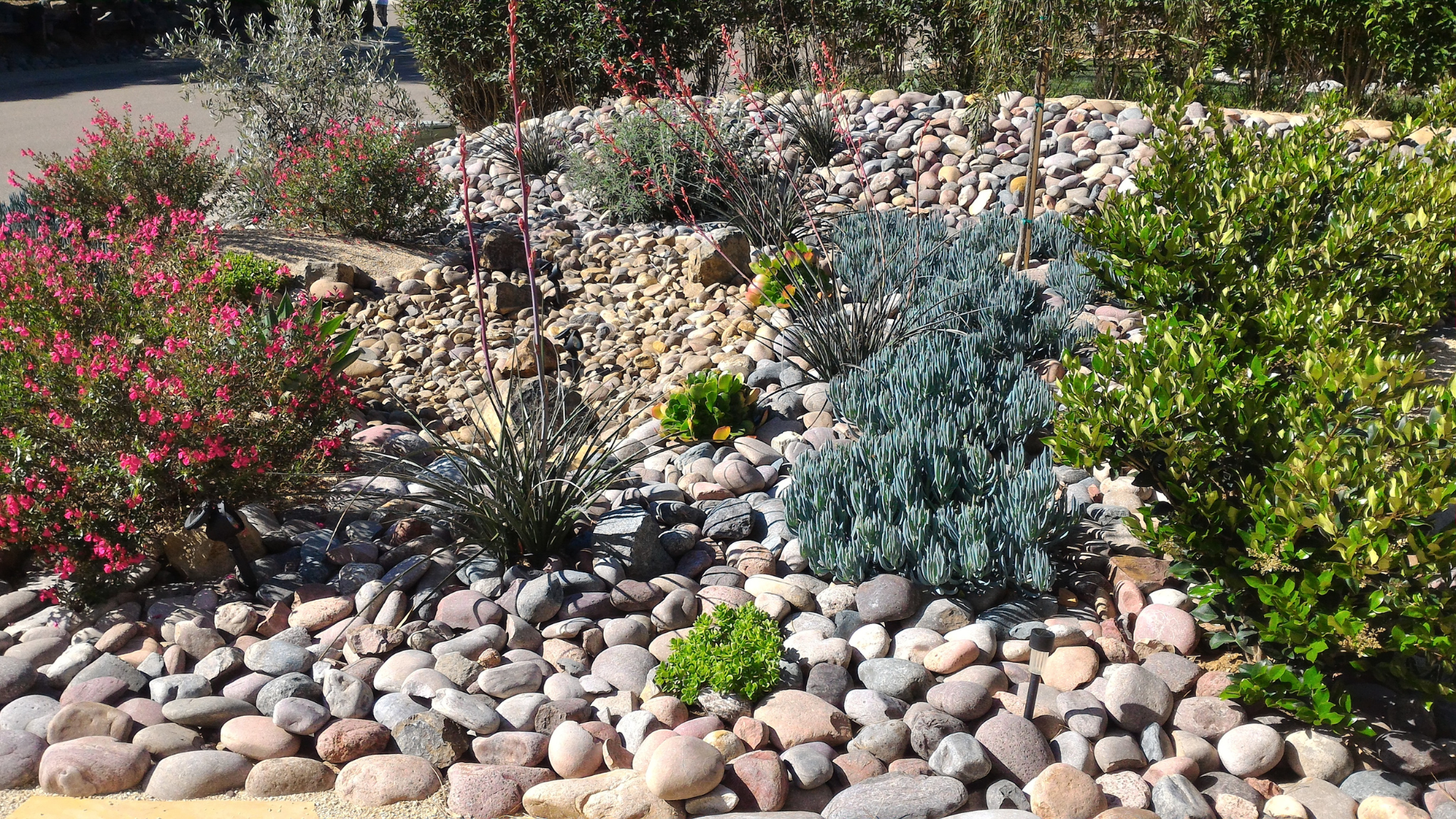 No-Mow Zones: DIY Xeriscaping and Native Plant Design for a Low-Maintenance Treasure Coast Yard