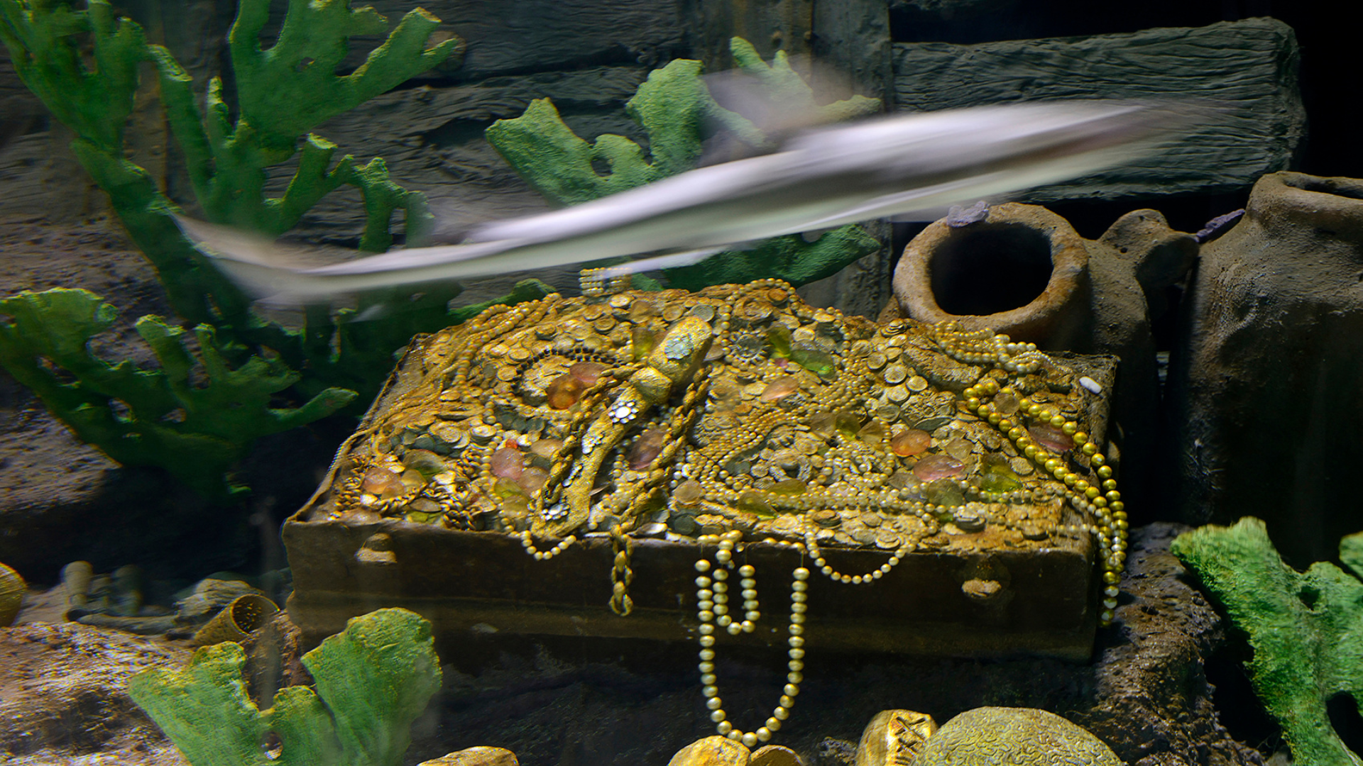 History Beyond the Treasure: Unearthing the Fascinating Past of Florida's Coast