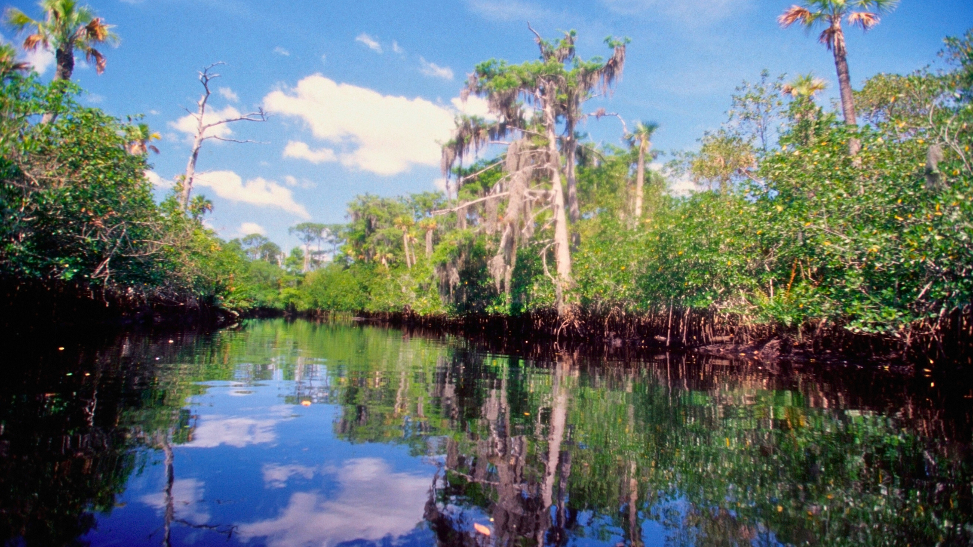 A Nature Lover's Guide to Local Parks & Preserves: Hiking, Kayaking, and Birdwatching Bliss
