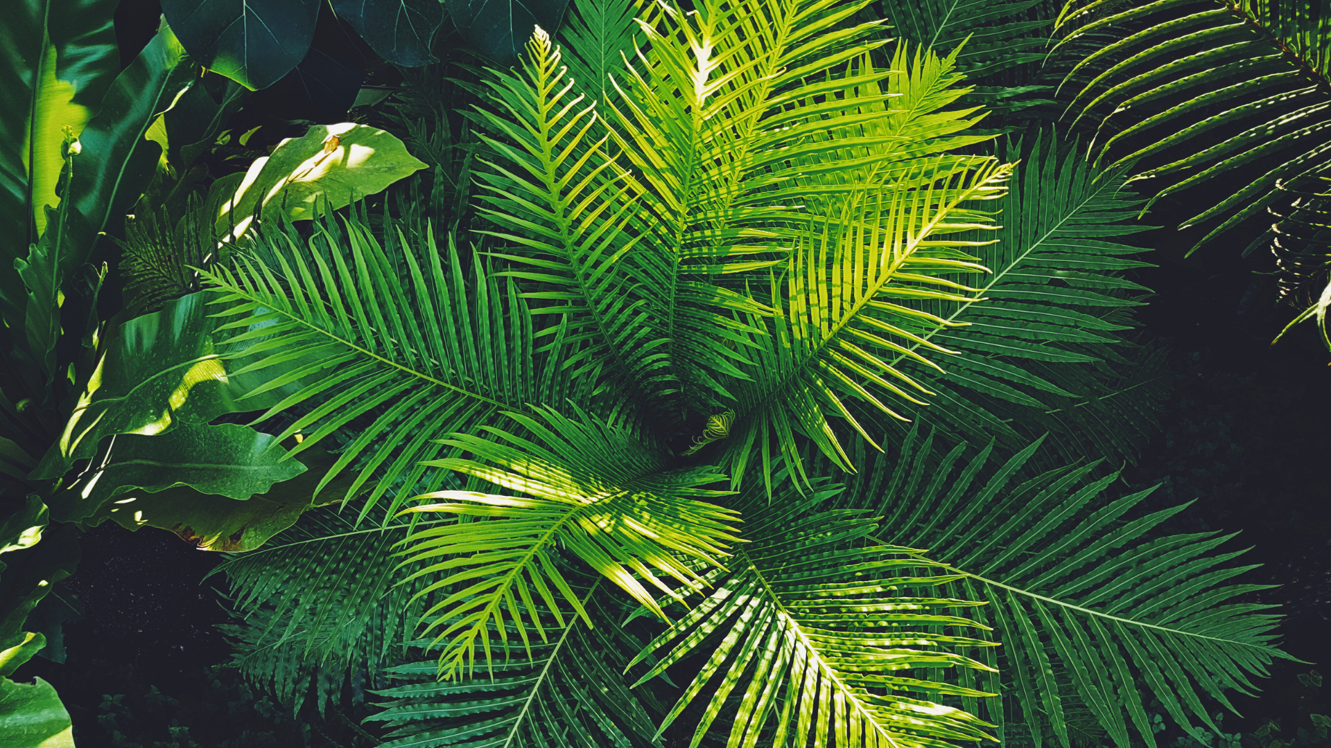 The Best Local Trail You've Never Heard Of: Discovering Kiplinger Nature Preserve