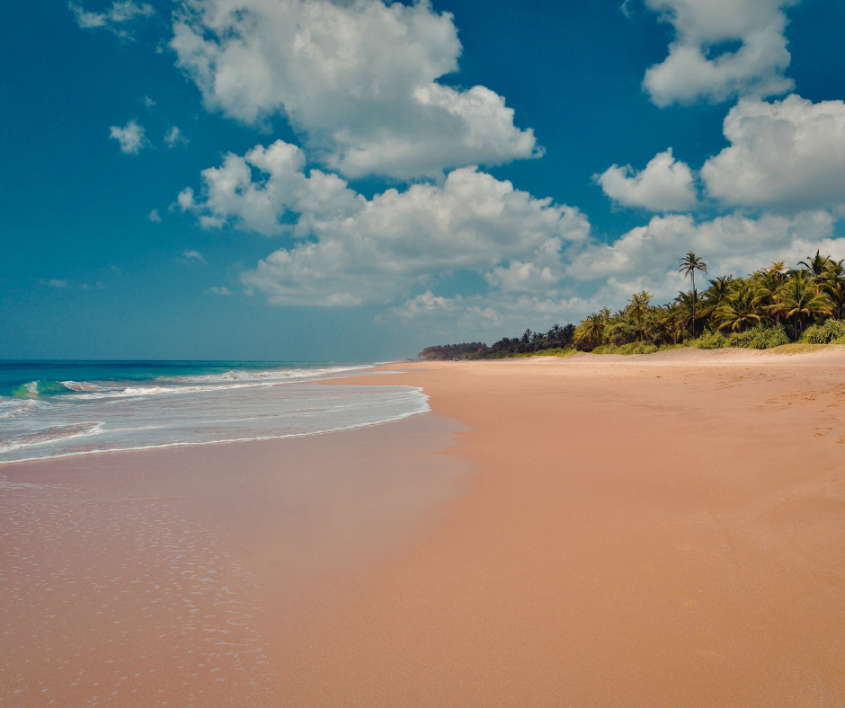 Hidden Beaches of Martin County: 5 Unguarded Spots Where You Can Still Experience 'Old Florida'