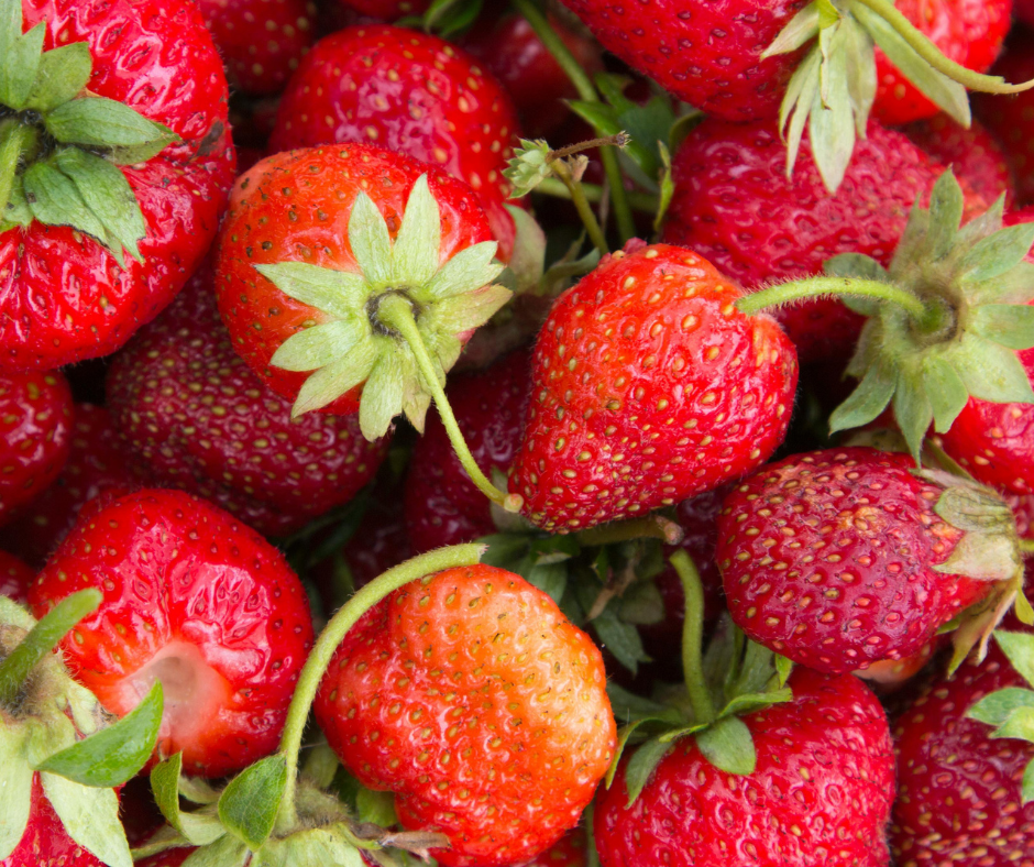 The 2026 Strawberry Festival Guide: Why PSL’s MidFlorida Event Center is This Year’s "Must-Visit"