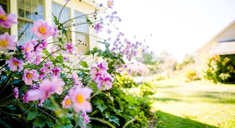 Will the housing market bloom this spring?