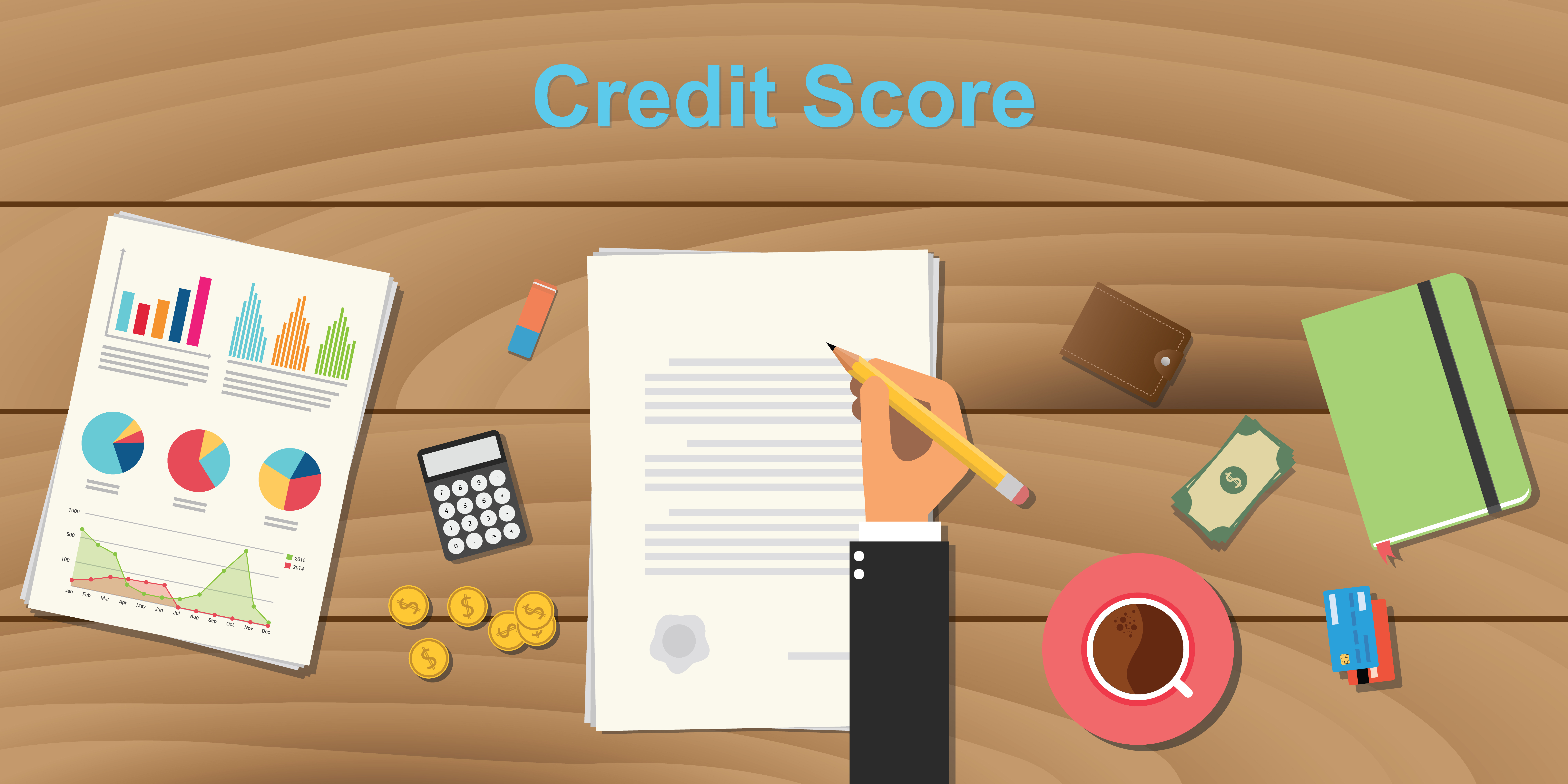 Credit Score