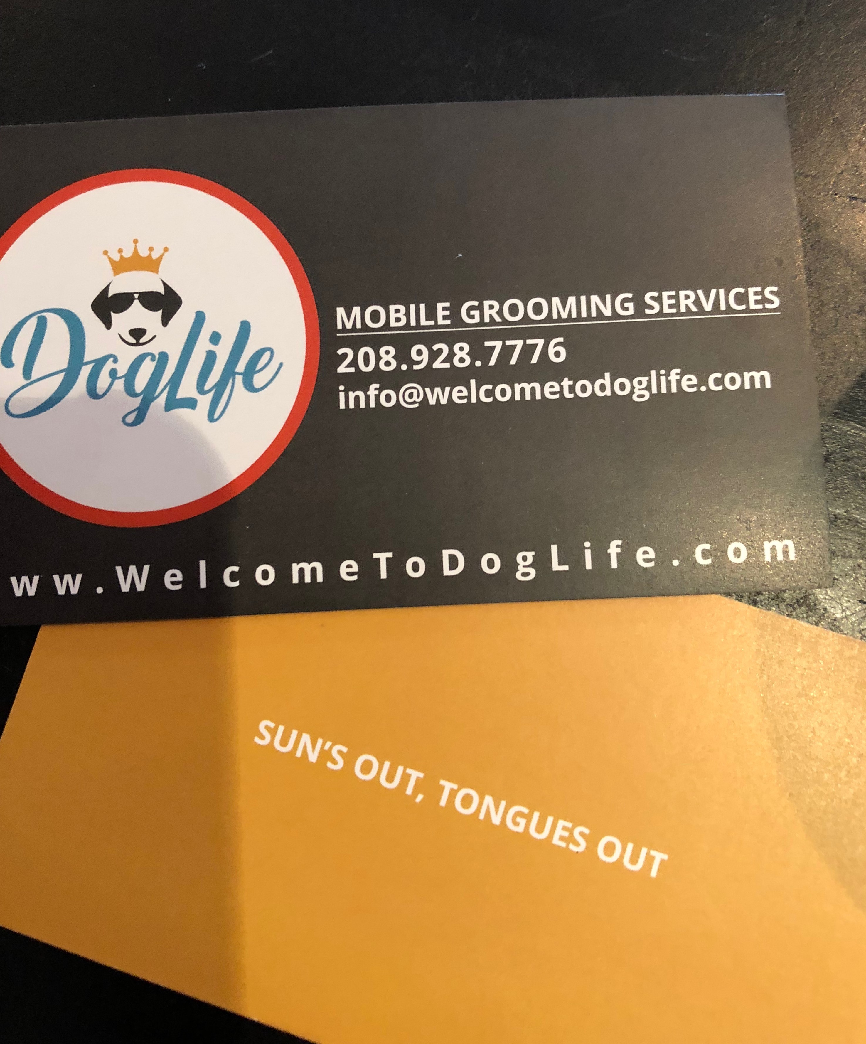 There's a New Business in Town | Welcome to Dog Life 
