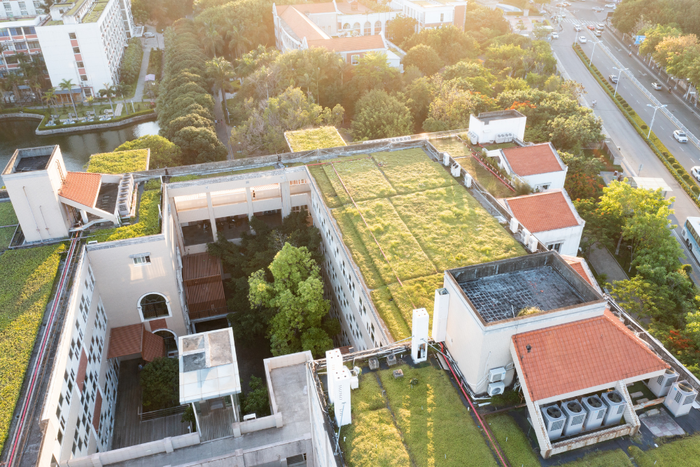 urban community gardens