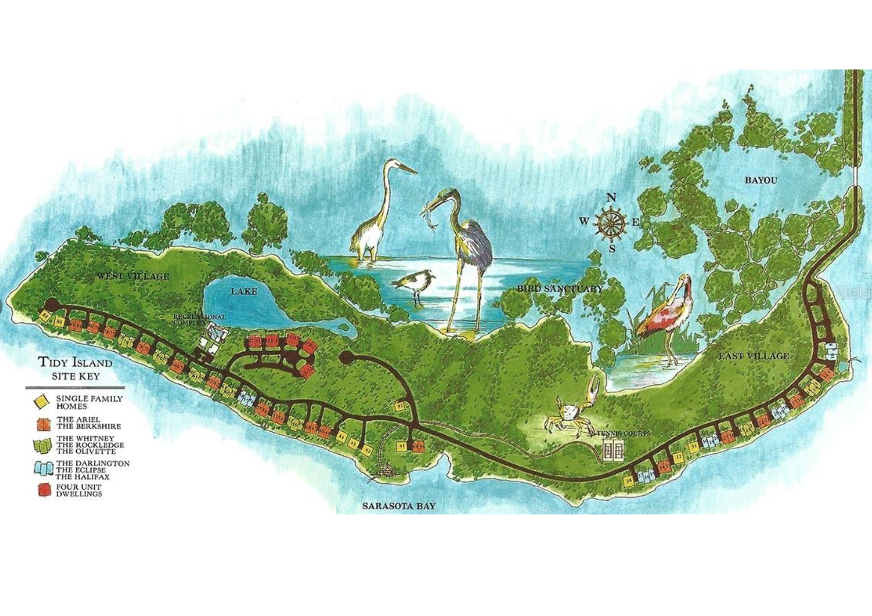 Tidy Island Map