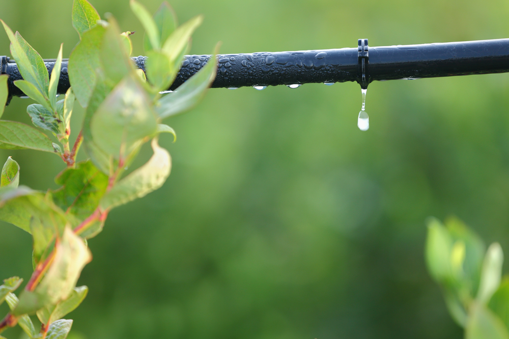 Garden drip irrigation systems