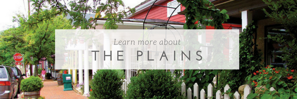 The Plains, Fauquier County, Middleburg Real Estate Atoka Properties