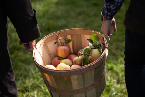 Make Memories with Fun Fall Activities for Kids