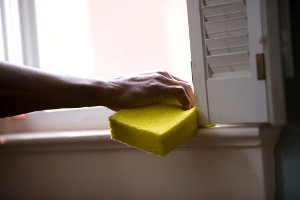 Use Your Spring Break for Spring Cleaning 