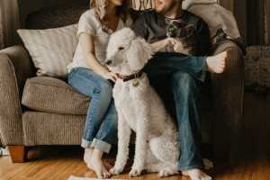 How to Make Your Home Pet Friendly 