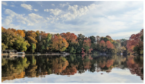 Maple Grove Lake Homes