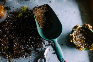 How to Know What to Grow 