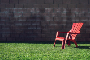 Prep Your Yard for Summer