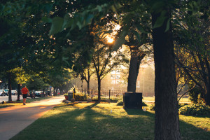 Area Amenities That Make a Difference 