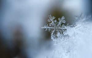 Buying a Home in Winter 