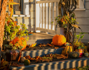 Easy Decorating for Fall 
