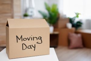 Making Moving Day Less Stressful 