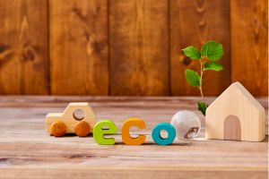 The Environmental Impact of Home Ownership 