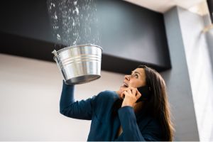 Spotting Hidden Moisture Problems in Your Home 