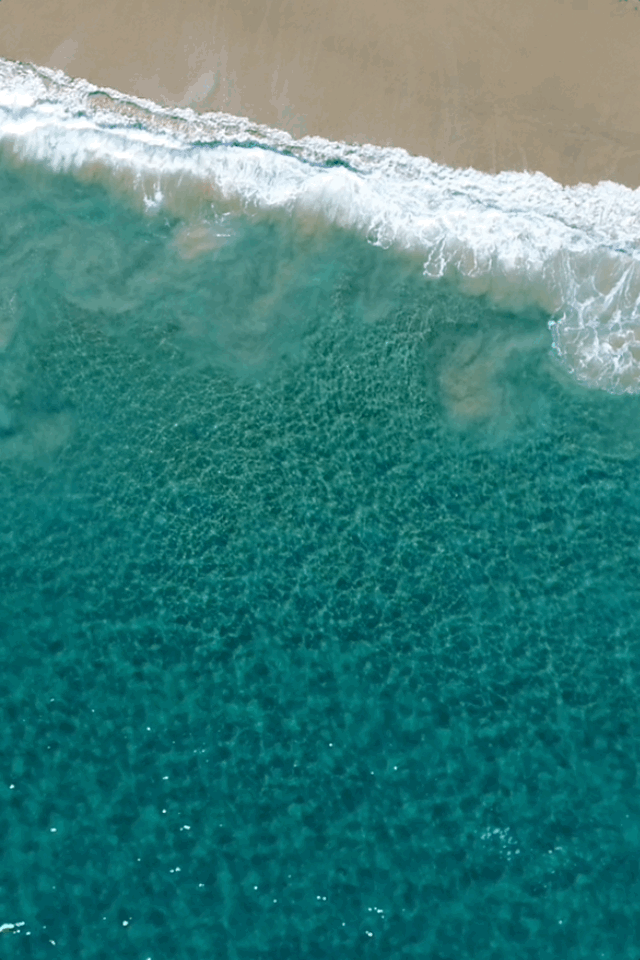 Karen & Piper | Real Estate Agents In Laguna Beach