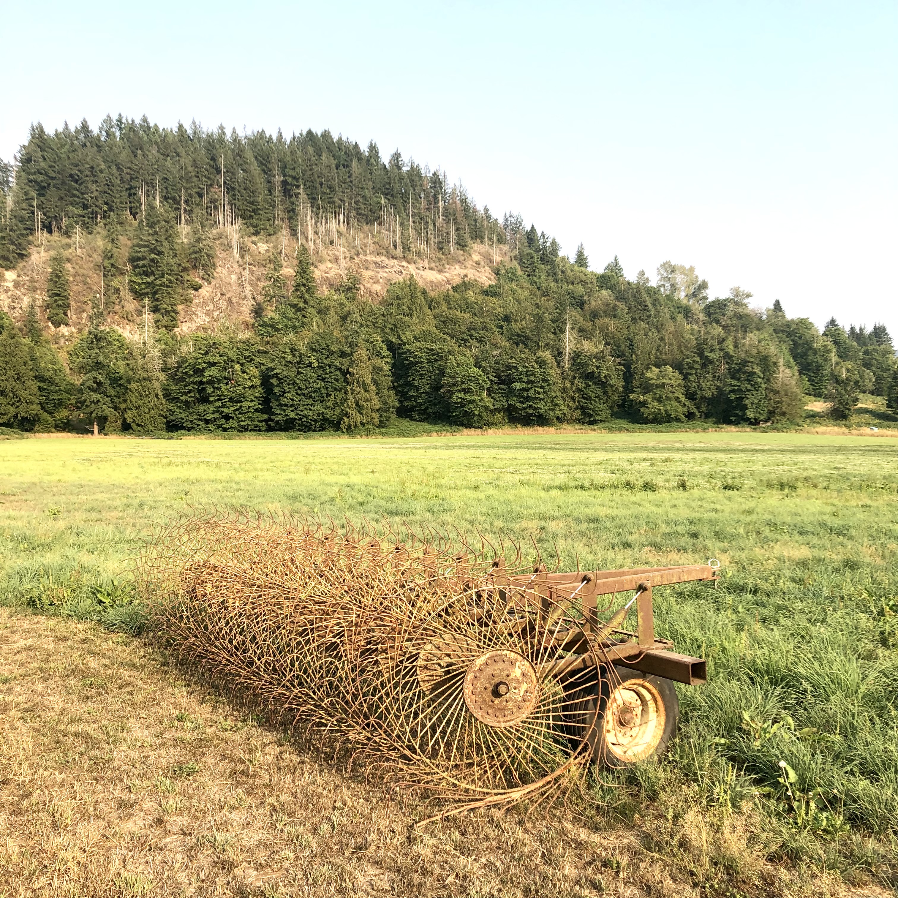 Green field with hill in background and farming equipment in foreground