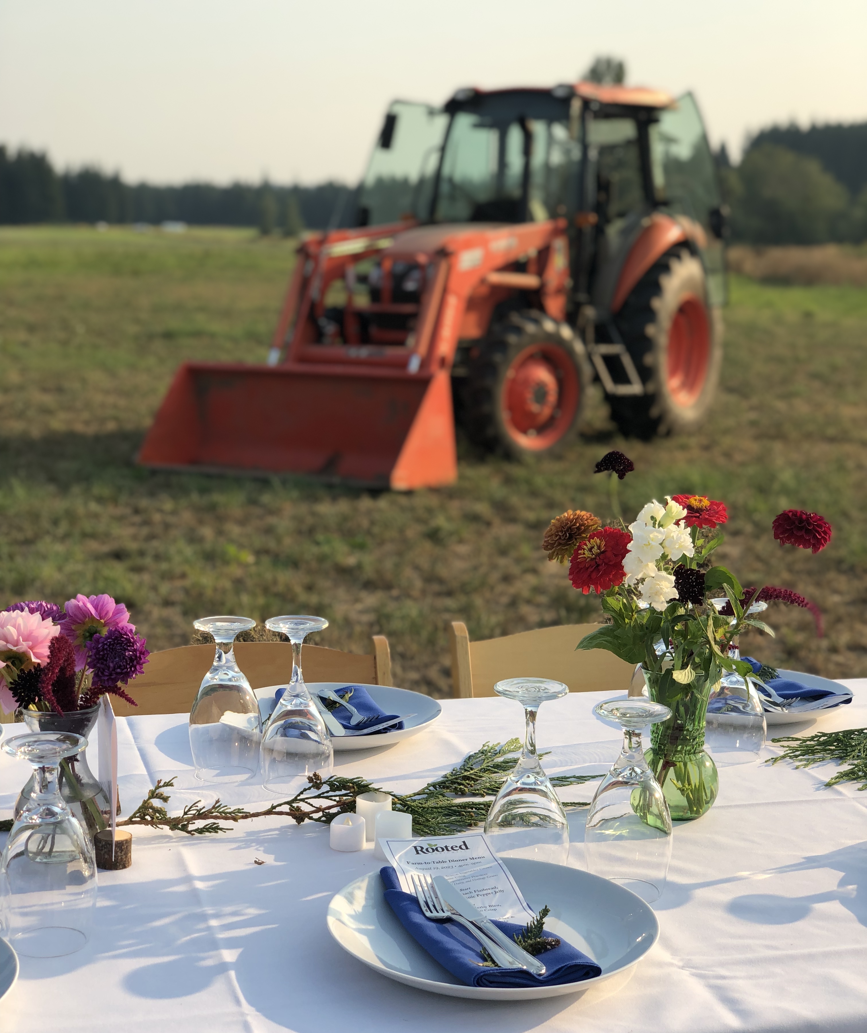 A table beautifully set in a verdant field with an orange tractor in the backgroun