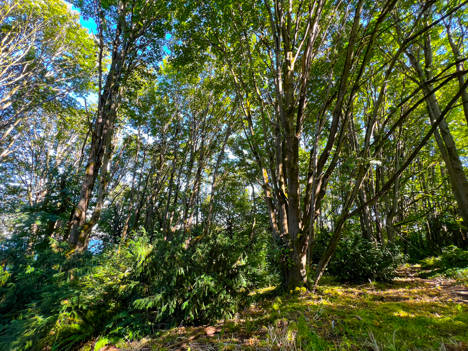 Nature trails just outside your door Beautiful native plantins surround the small block