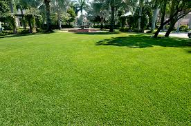 TAKING CARE OF YOUR FORT LAUDERDALE LAWN WITHOUT WASTING RESOURCES
